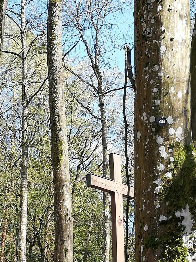 Ferienwohnungen Blum Келберг Екстериор снимка